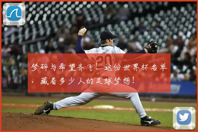梦碎与希望齐飞!这份世界杯名单,藏着多少人的足球梦想!